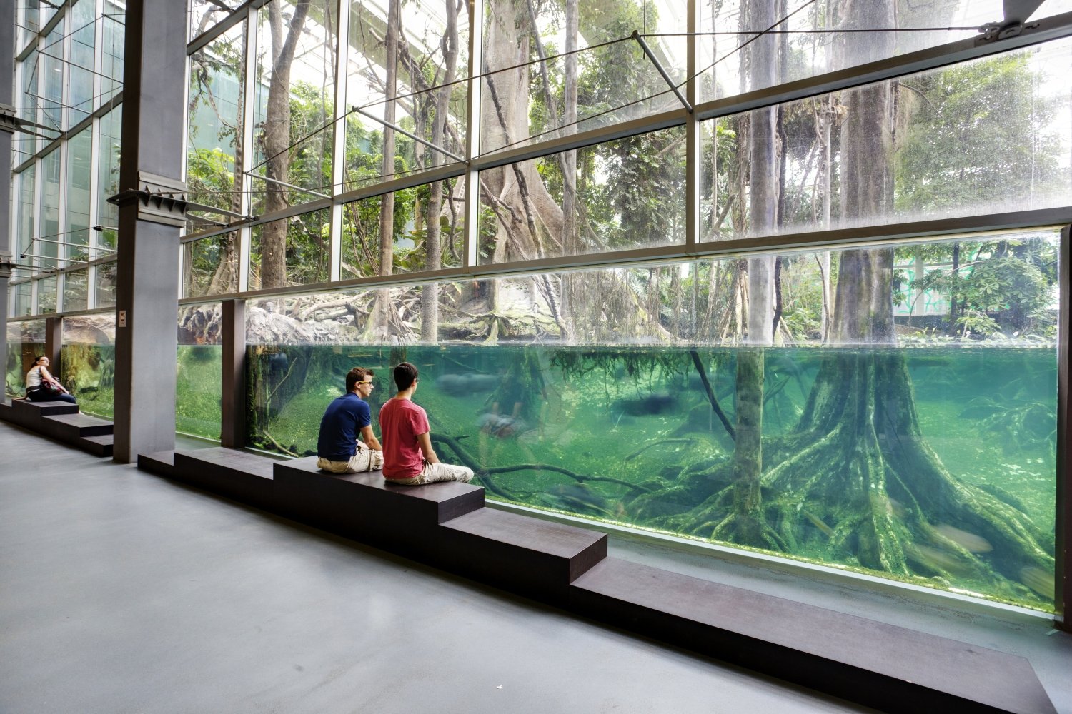 Museo de Ciencias CosmoCaixa